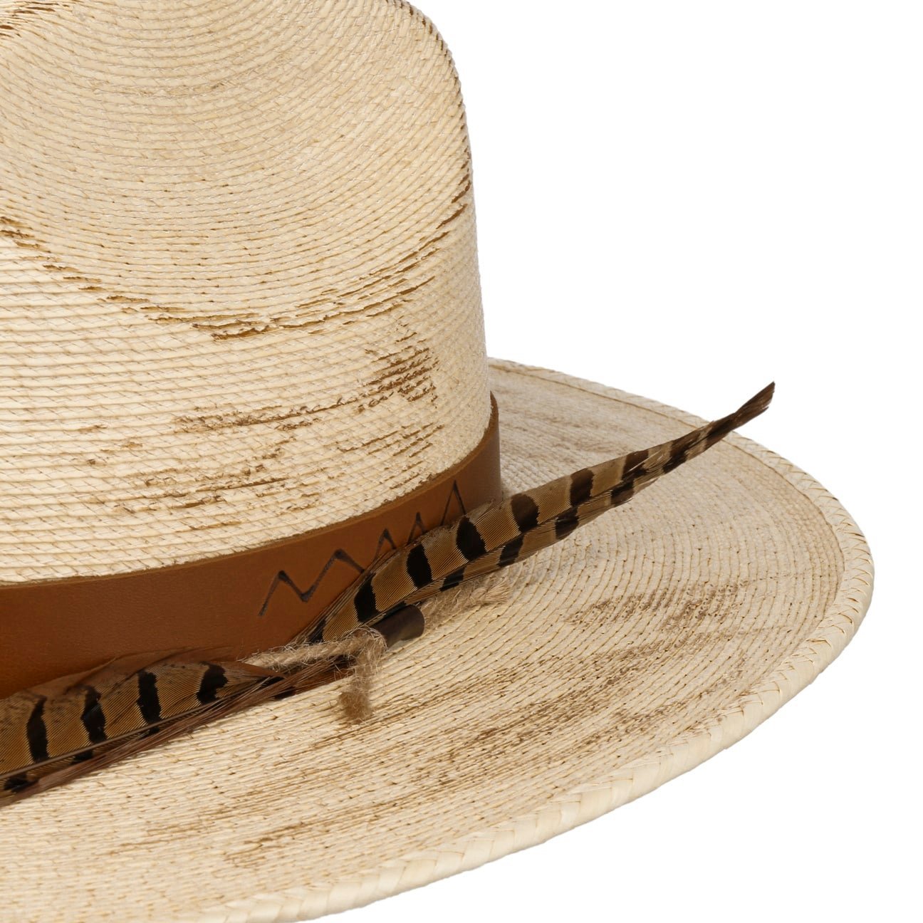 Outdoor Mexican Palm - JJ Hat Center ®