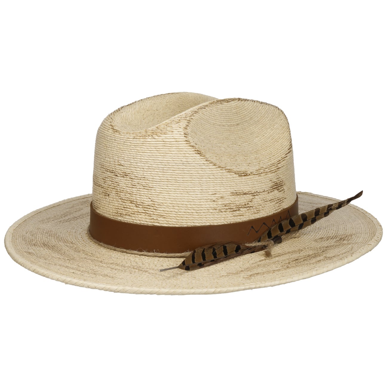 Outdoor Mexican Palm - JJ Hat Center ®
