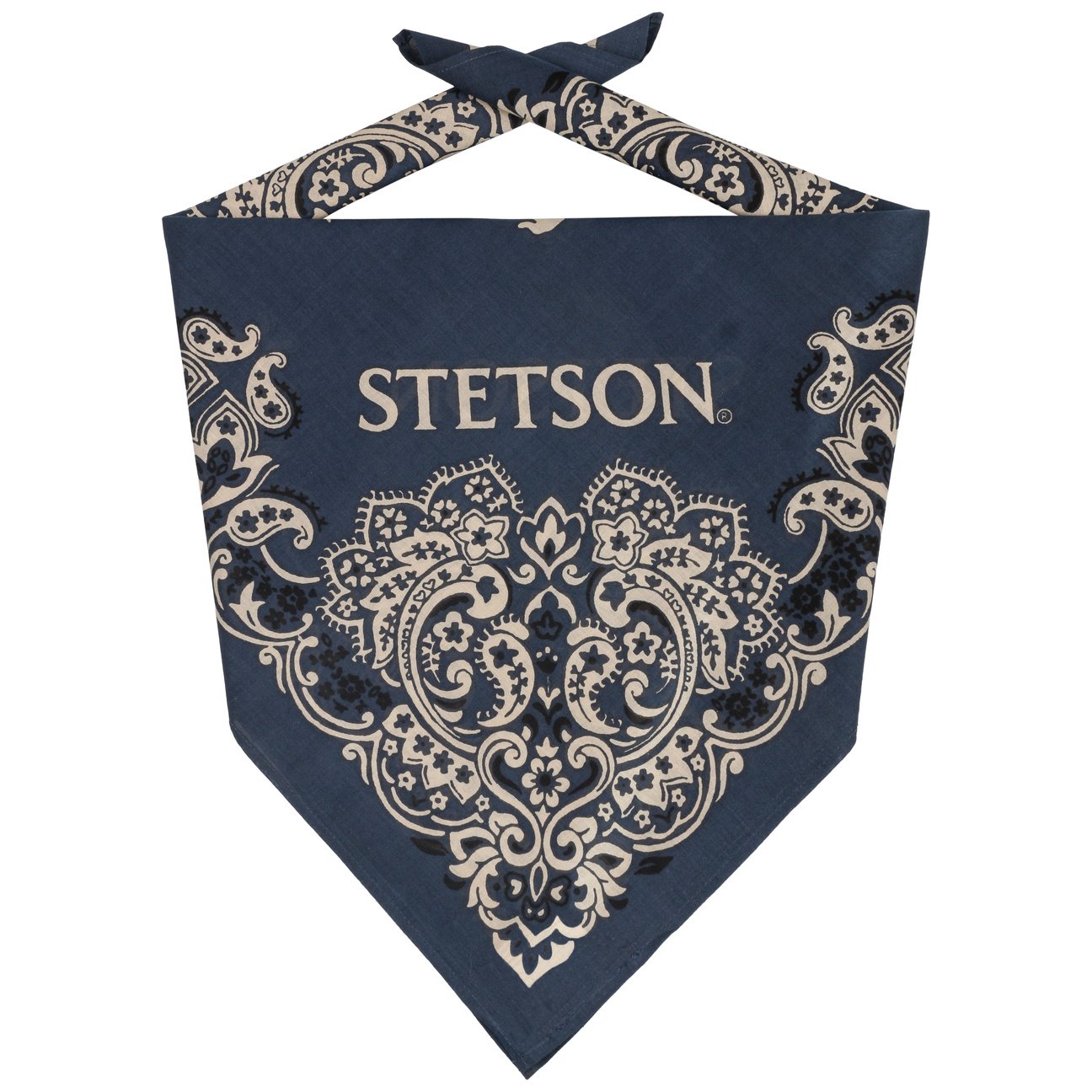 Paisley Bandana