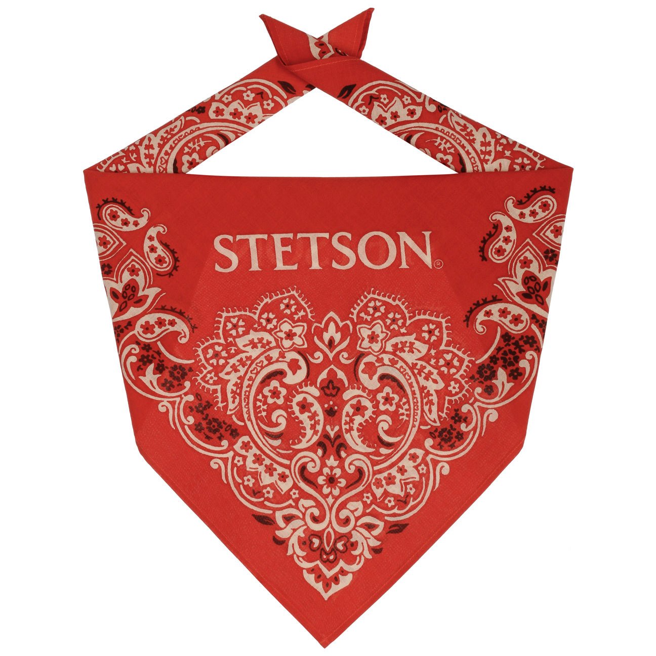 Paisley Bandana