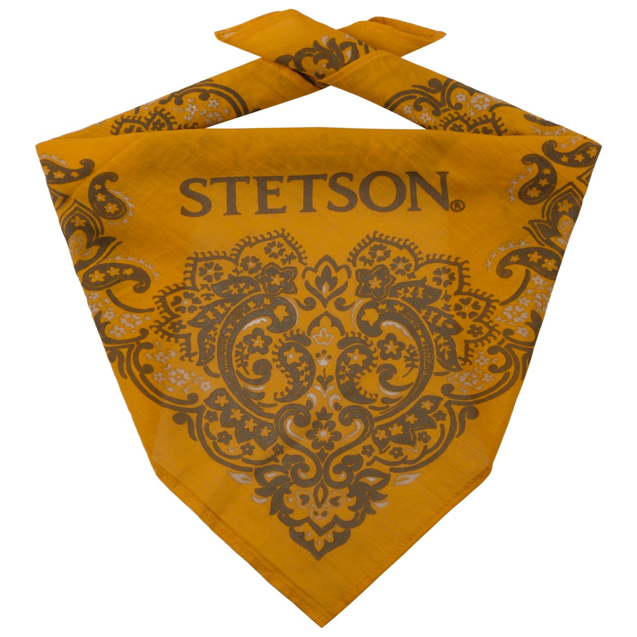 Paisley Bandana