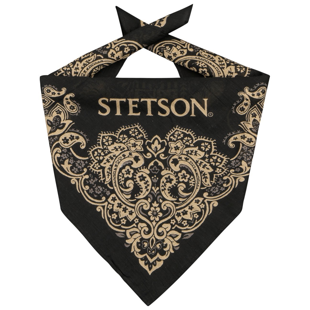 Paisley Bandana