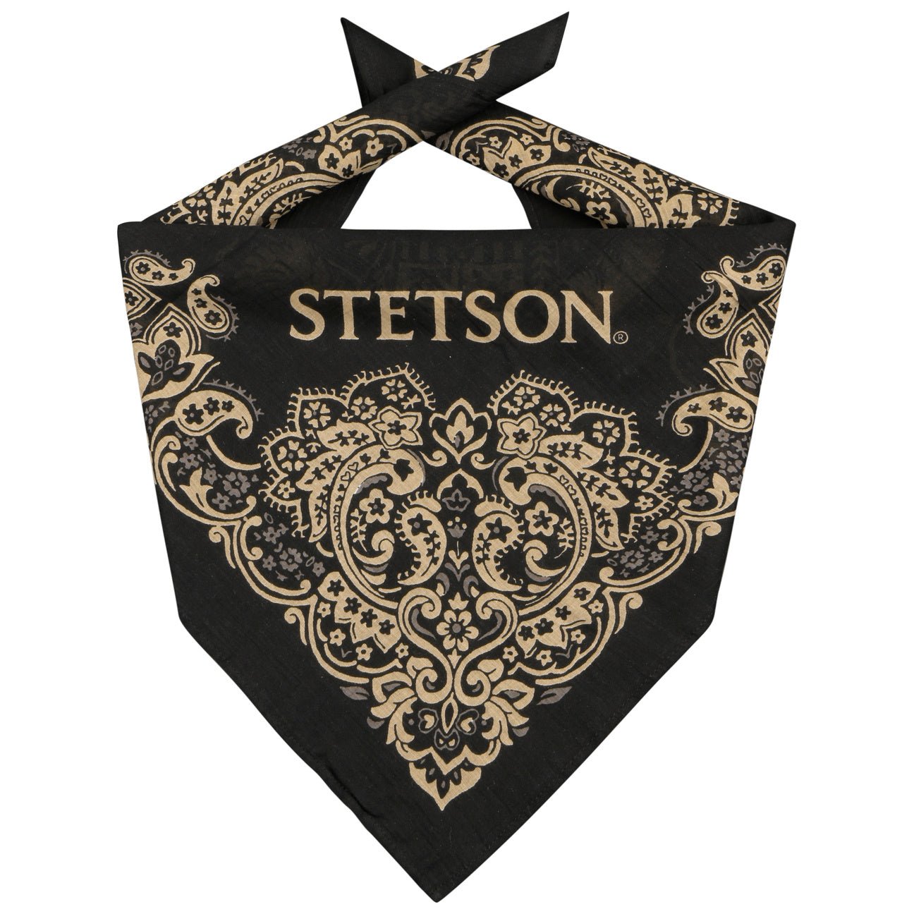 Paisley Bandana